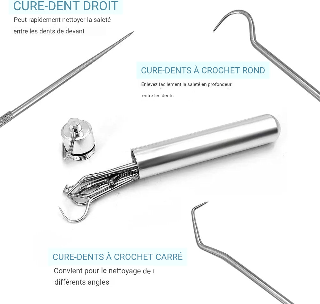 CleanSmile™ | Soins Quotidiens | Kit de 7 cure-dents et soie dentaire réutilisables | Acier inoxydable | Porte-clefs
